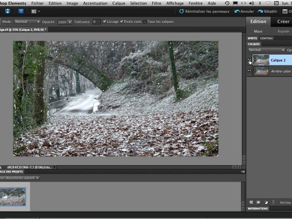 Faire un paysage enneigé avec Photoshop Elements