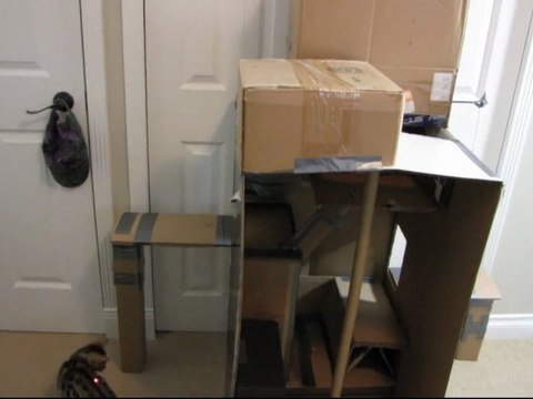 Another Cat Video - My Bengal Cats Playing & Wrestling Linus Tech Tips