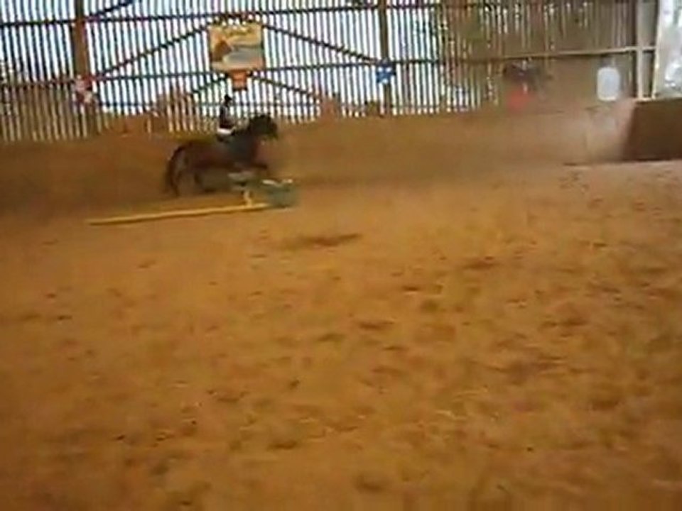 moi et sechua le meilleur a un parcoure de saut d'obstacle genial