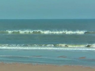 Mardi 07 Février - Surf report vidéo 11H30