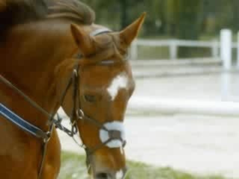 lilou