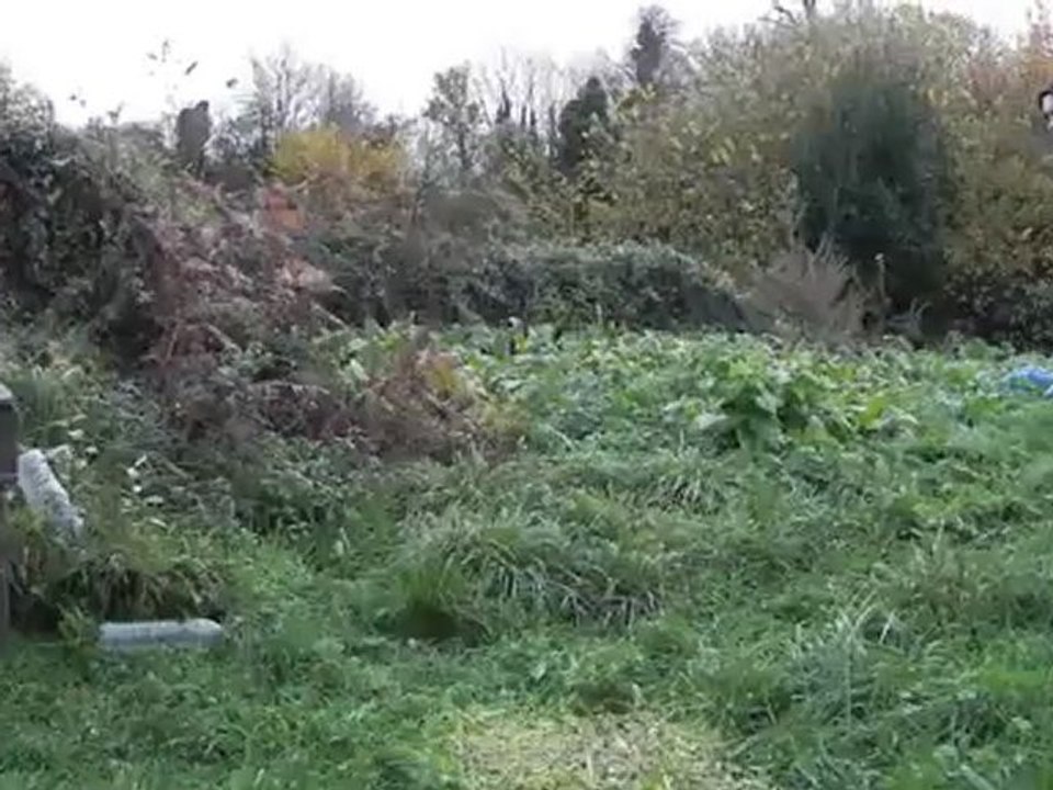 tir au sanctuaire