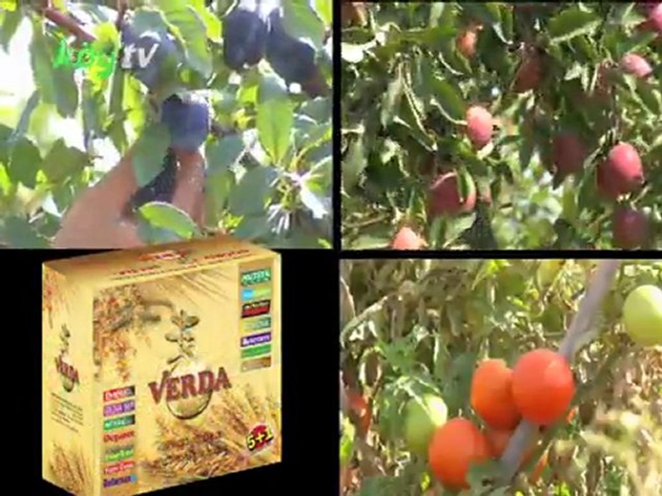 Verda Tarım