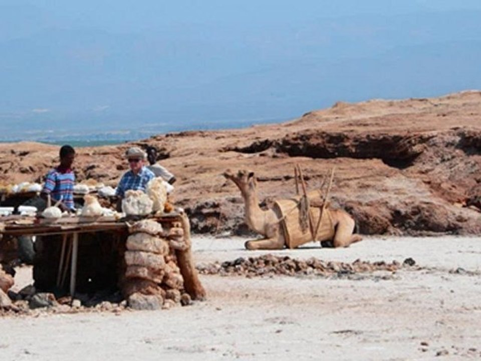 lac assal