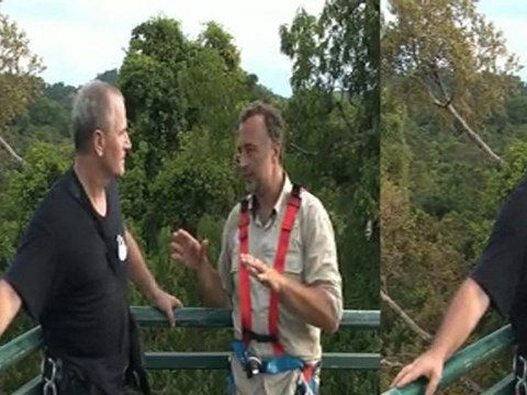 La plus grande Forêt du Monde: La Guyane - Canopé avec le CNRS