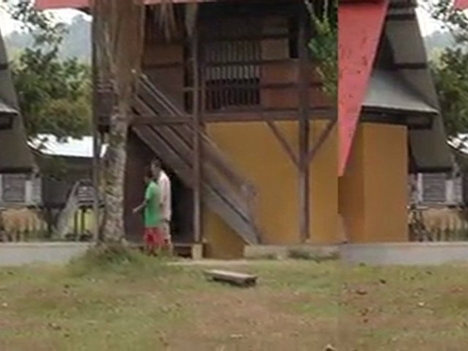 La plus grande Forêt du Monde: La Guyane - Amérindien et ciel de case