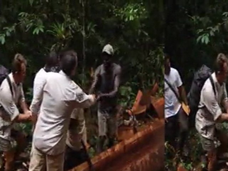 La plus grande Forêt du Monde: La Guyane - la forêt avec les boushiningués