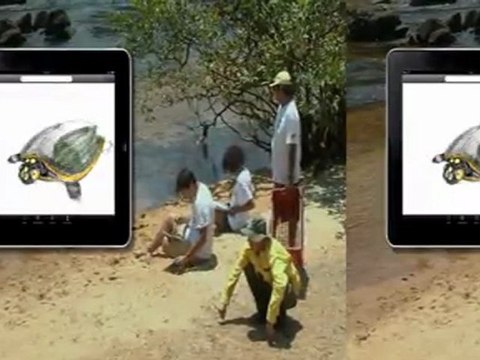 La plus grande Forêt du Monde: La Guyane - les Tortues de l'Oyapok