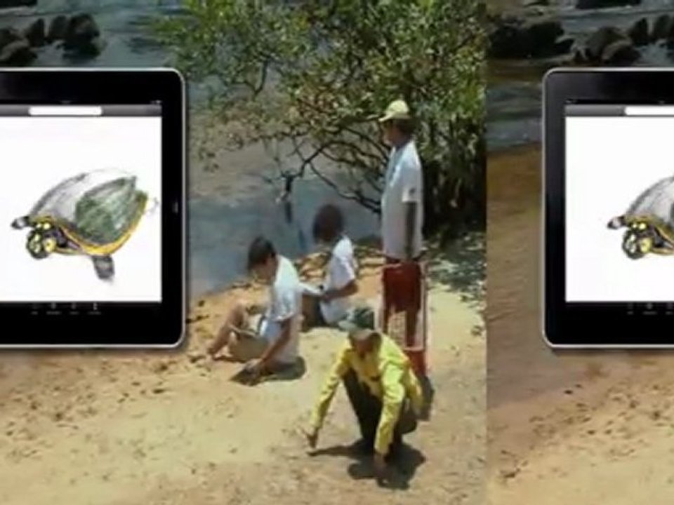 La plus grande Forêt du Monde: La Guyane - les Tortues de l'Oyapok