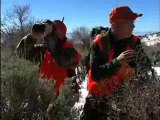 Mule Deer Hunt