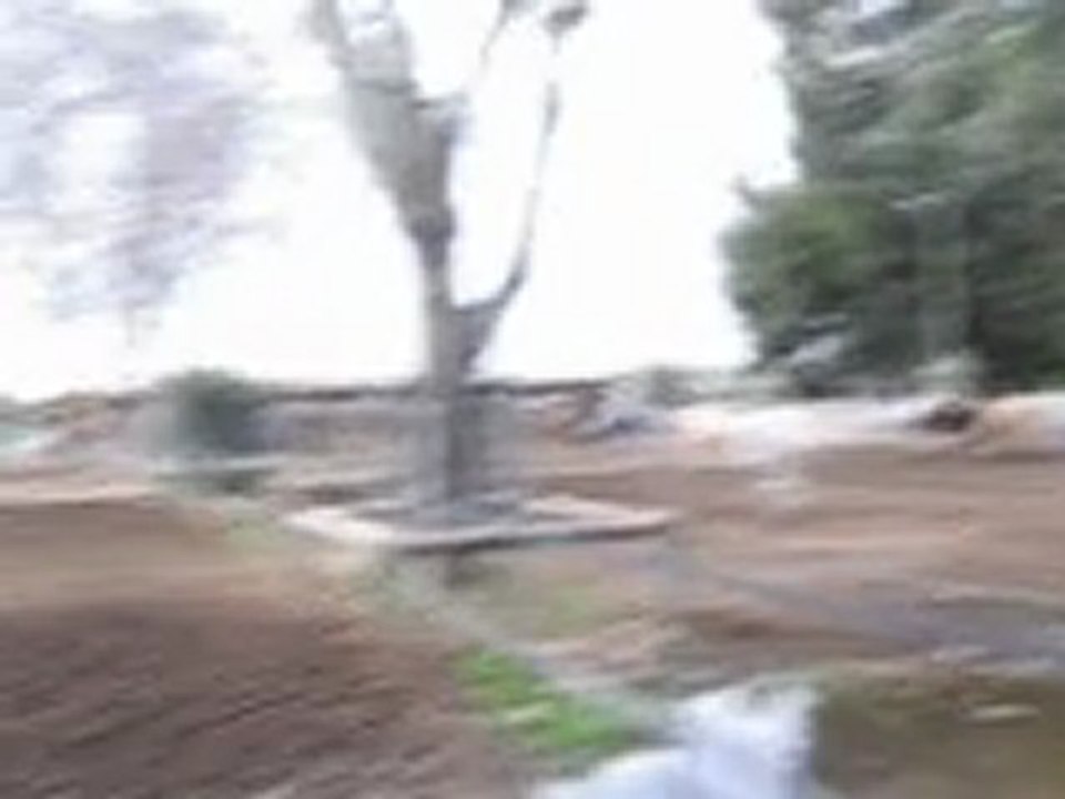 Quelque poon's du chn ^^