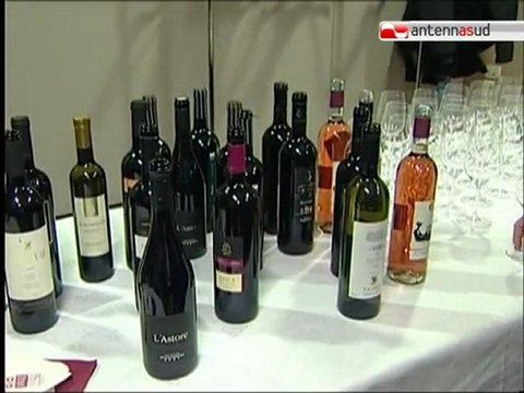 TG 06.02.12 L'enoturismo fondamentale per l'economia della Regione Puglia
