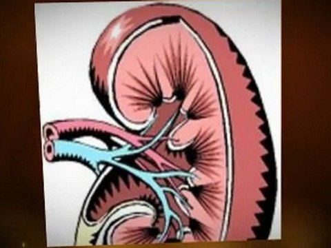 The Five Significant Stages of Kidney Failure