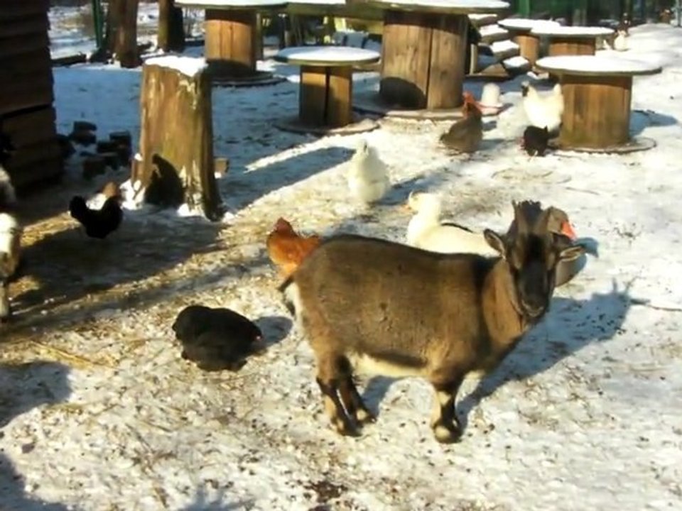 SANY0498 février 2012!!!!