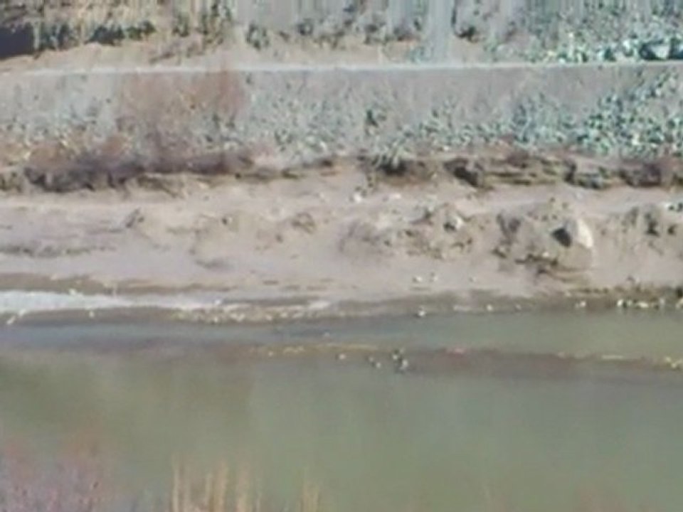 MOV_0117