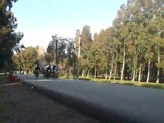 Video0110
