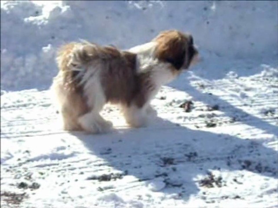 Gaïa découvre la neige
