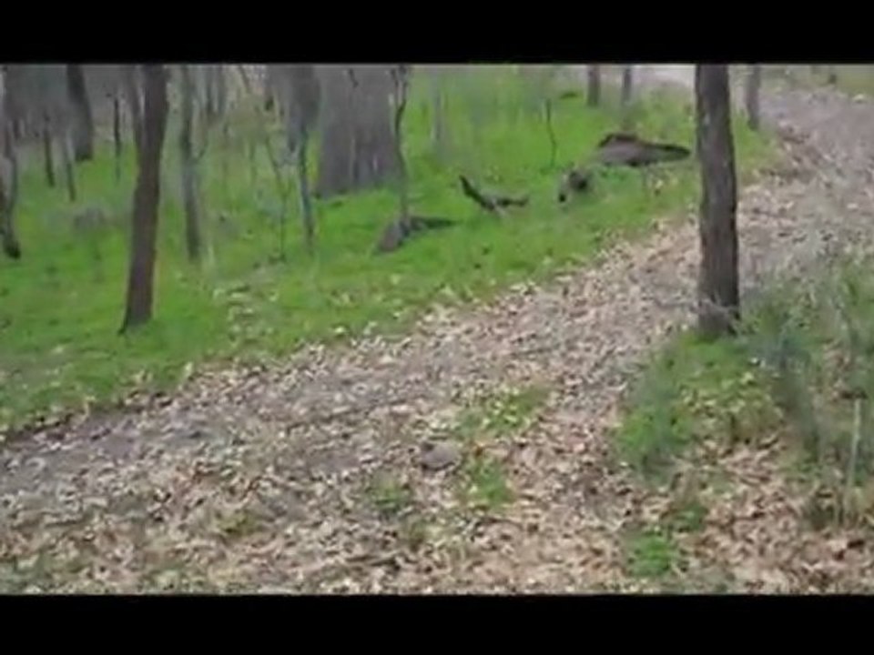 Oak Point Home For Sale |Lake Homes For Sale In Texas