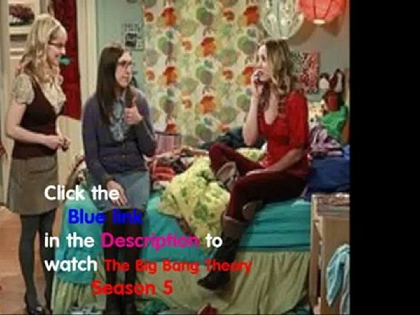 The Big Bang Theory S5E16
