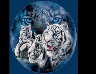 Alex trackone - Te quiero feat Maria