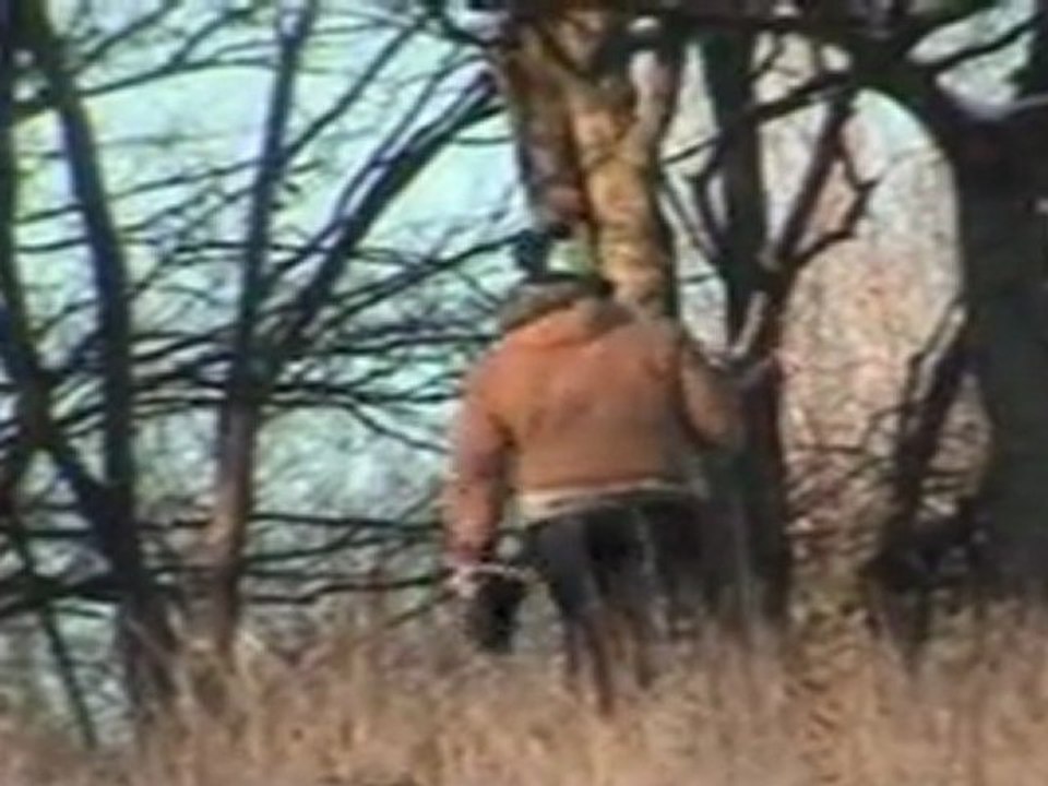 Toulouse sous la neige 2012