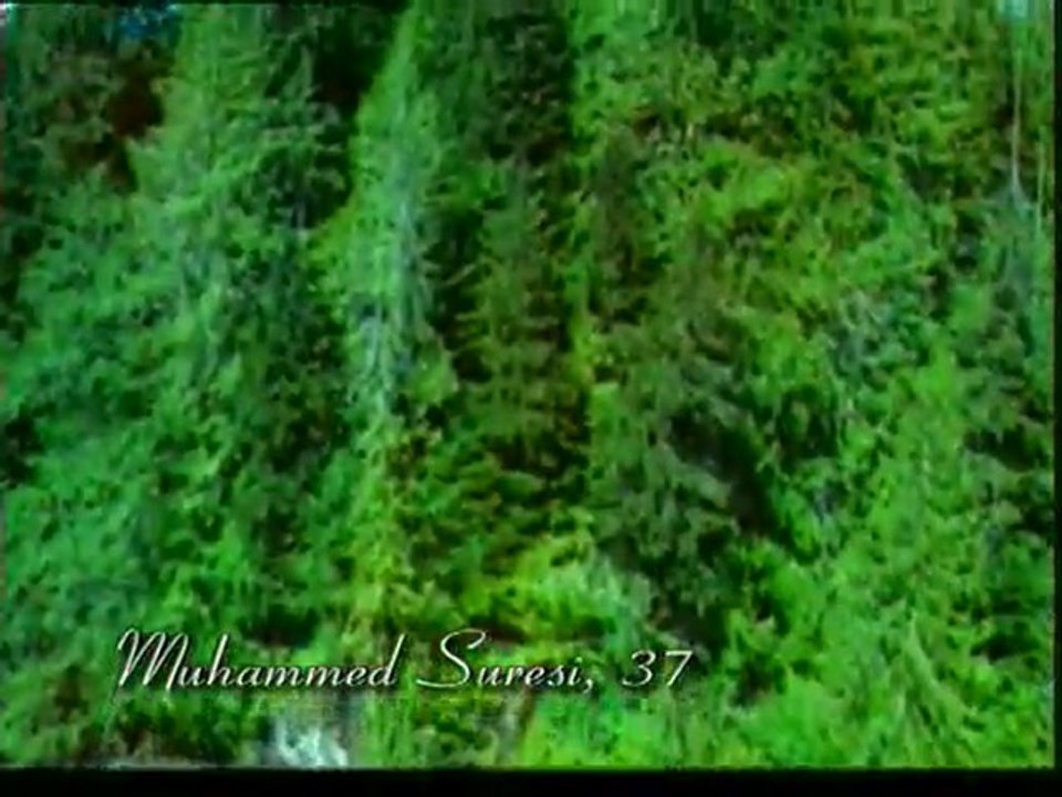 Kur'an Meali - 2