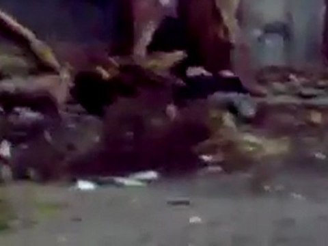 فري برس حمص باباعمرو سحب جريح تحت القصف 7 2 2012