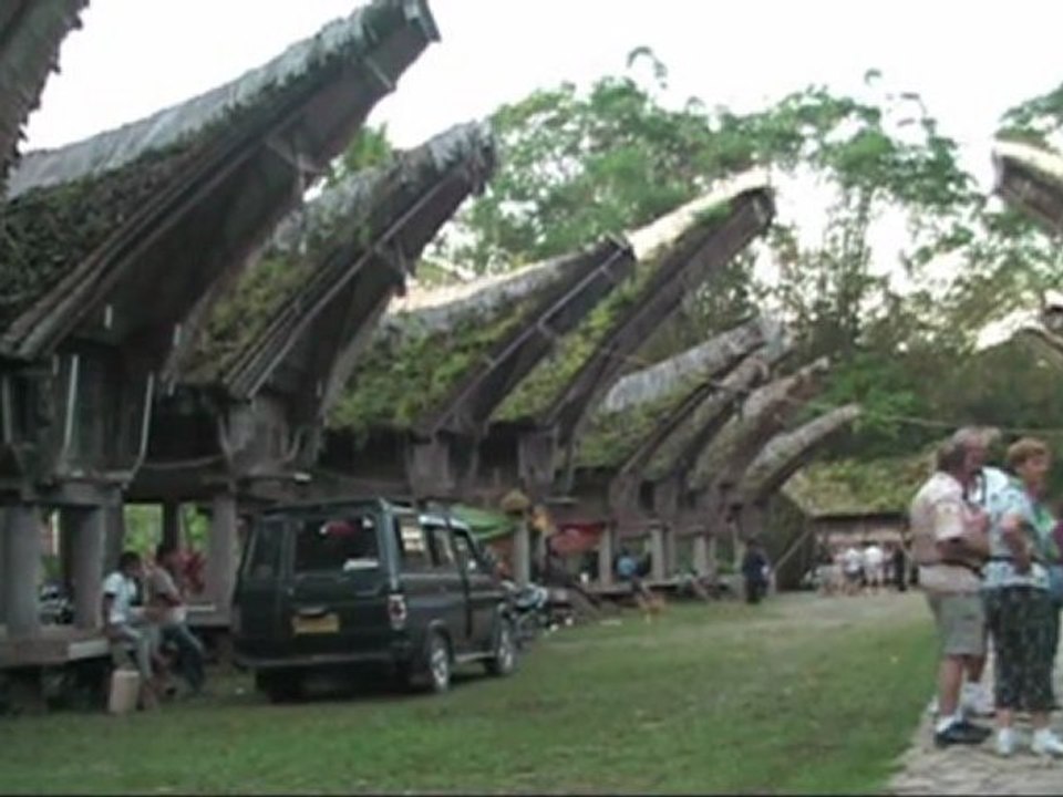 CELEBES