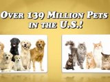 Affordable Pet Related Franchise | Pet Food Franchise Opportunity | Home-based Pet Food Business | Dog and Cat food business