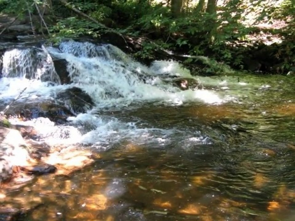 pêche en aveyron