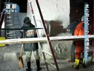 Rebuild of Snow Miku from Doshin Web, 10 febbraio 2012