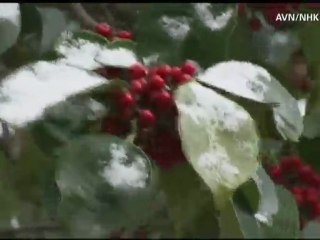 Fuerte nevada tiene a Japón bajo 70 centímetros de nieve