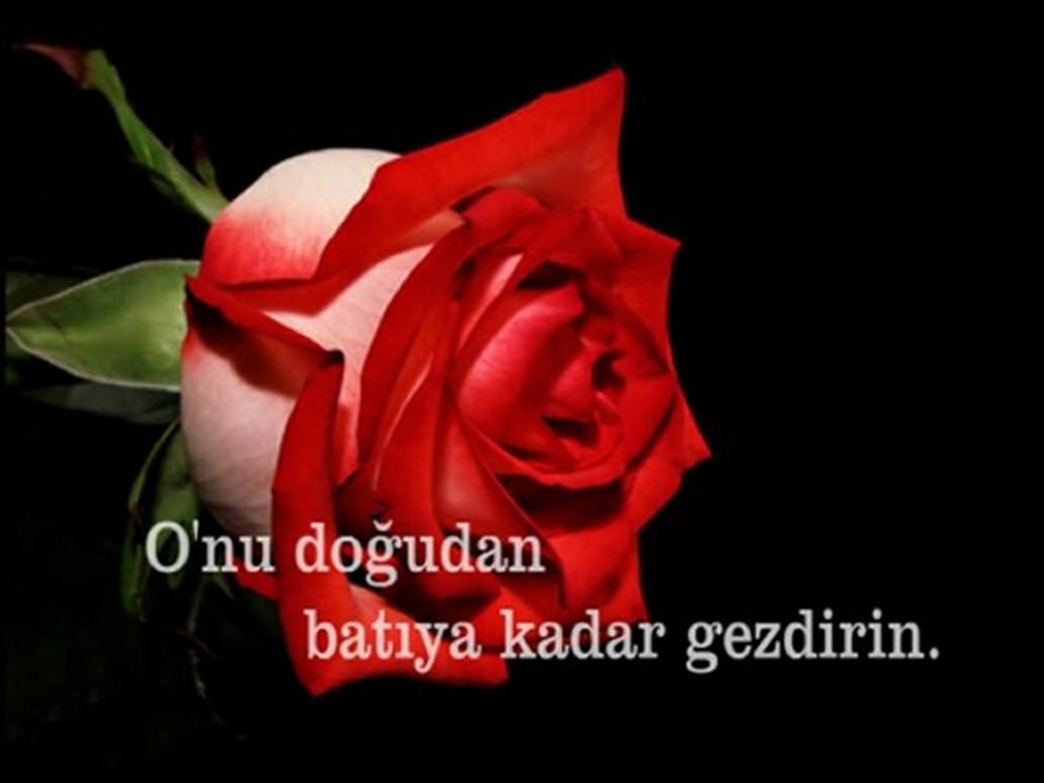 Hoş Geldin Efendim