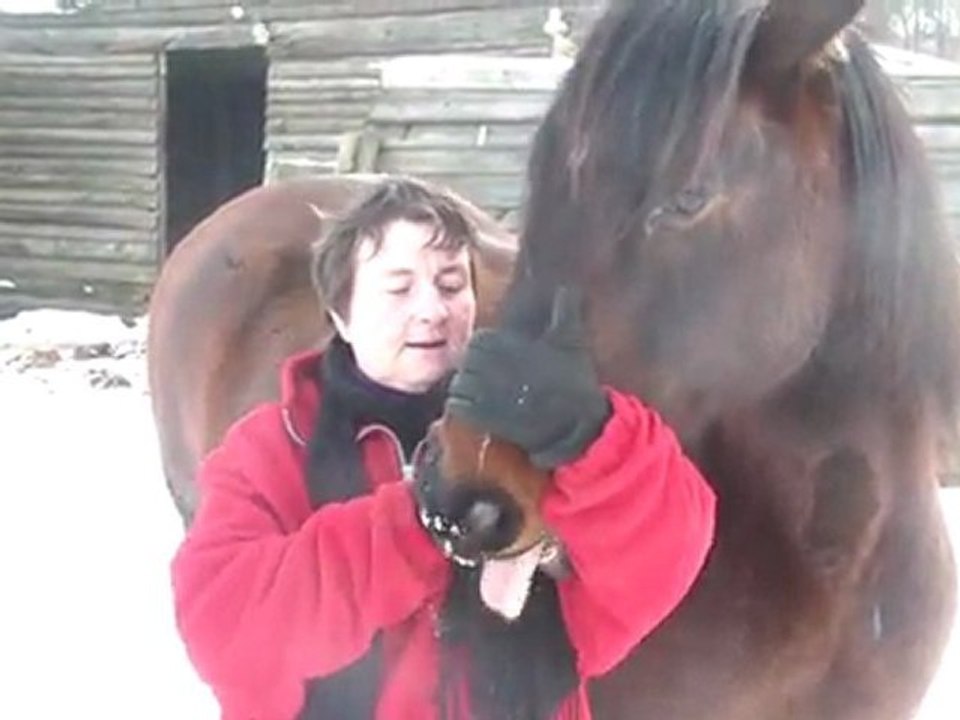 08.02.2012.ze.malinka