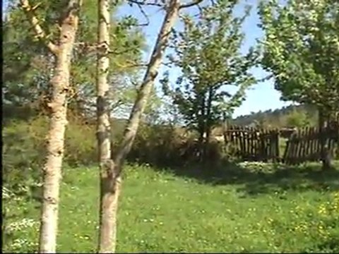 yüce dağ başında al al olsam