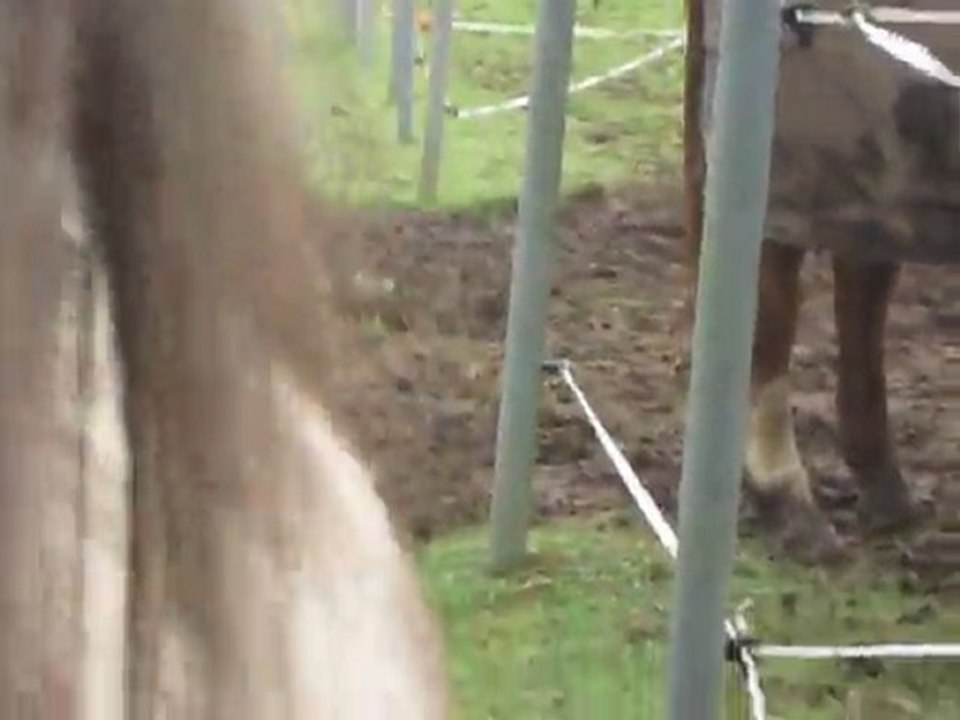 Urane sort du pré !