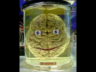 Sean Graham reviews Canadian chronic pain invention