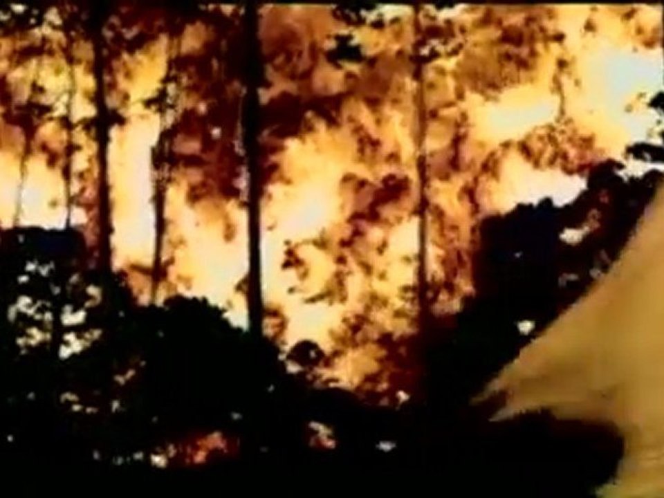 Evolution_ Wie wir wurden_ was wir sind - Teil 1_5