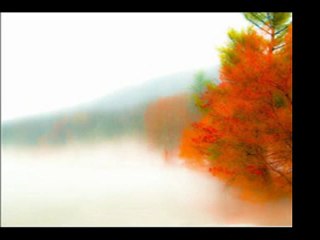 YUSUF  HAYALOĞLU  ...  BENİ  DÜŞÜN  UNUTMA  ...