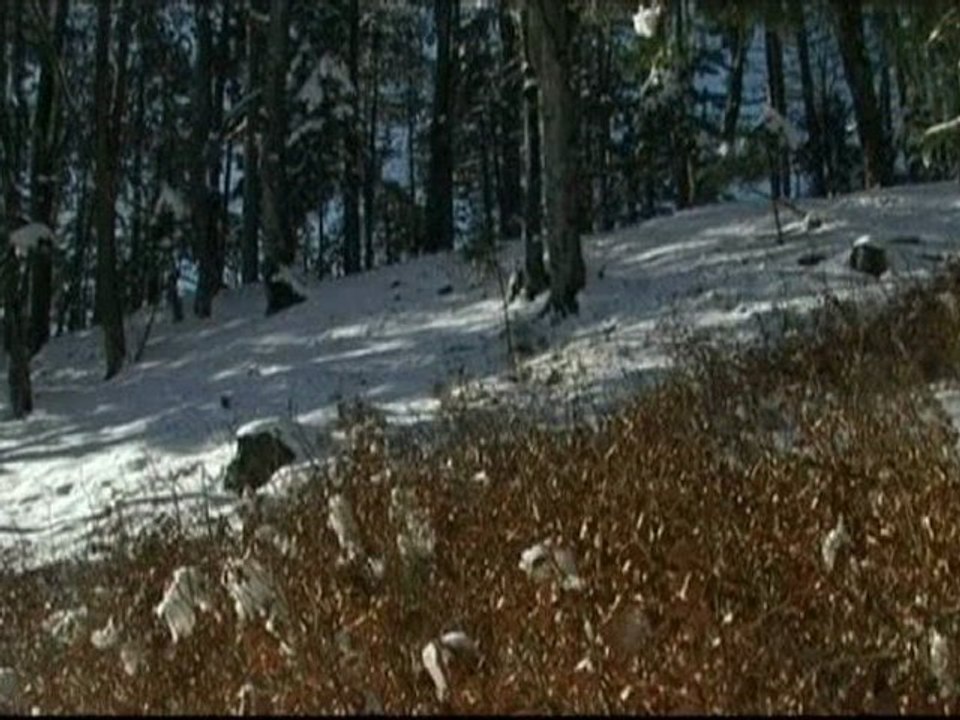 Der Kreuzberg in Weyer - Winterimpressionen