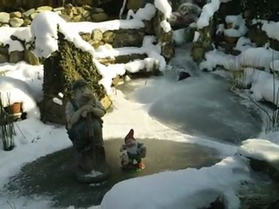 Mon BASSIN  2012..fevrier ..-13°