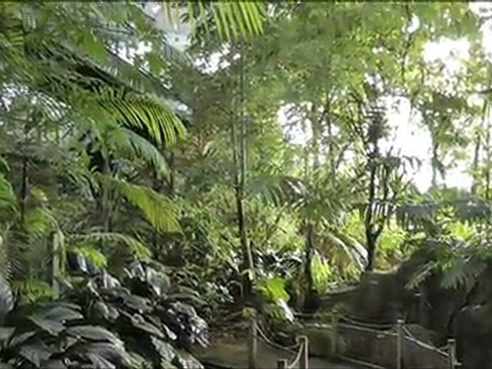 Montpellier : Visite de la serre Amazonienne