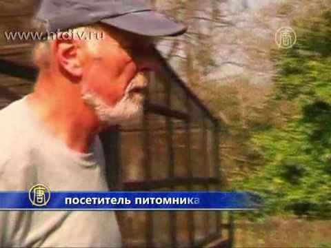 В Непале сохраняют редкий вид крокодила