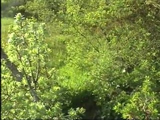 MEKTUP SELAM SÖYLE ANAMA