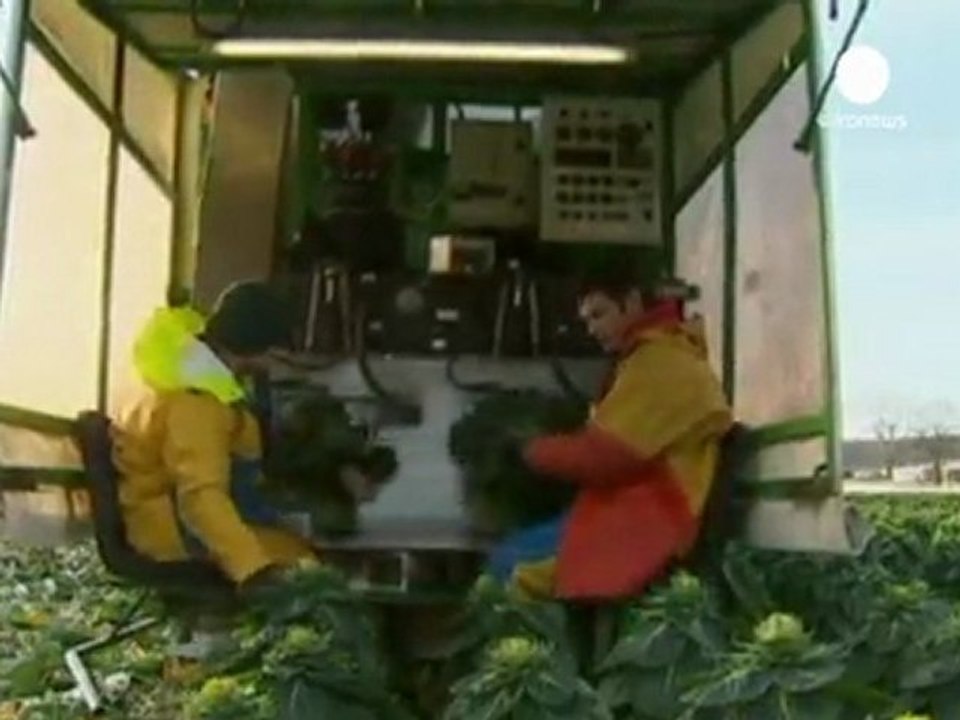 Météo : les prix des légumes légumes d'hiver vont...