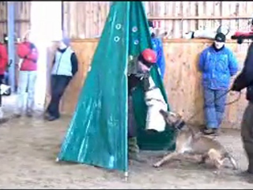 Pois Kottoo Barbi mit 12 Jahren