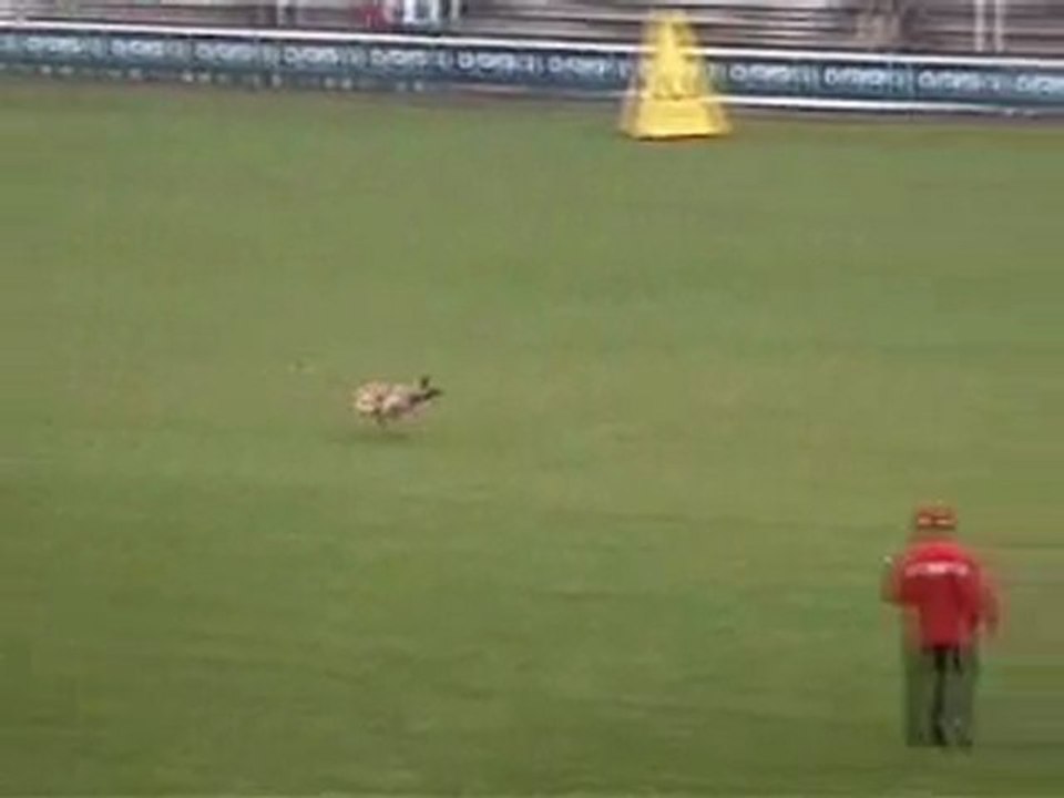 Pois Kottoo Barbi - FMBB WM 2003