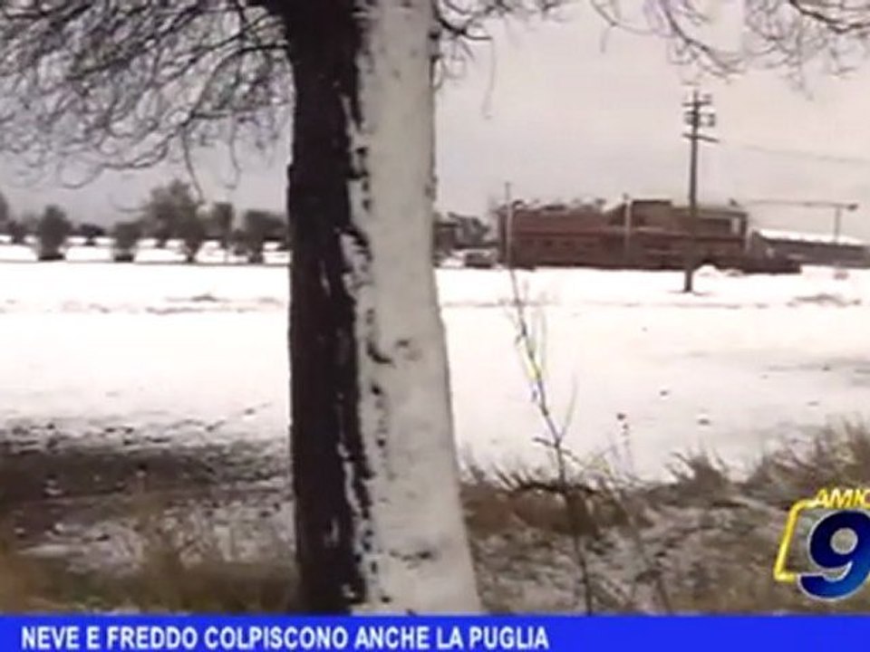 Neve e freddo colpiscono anche la Puglia