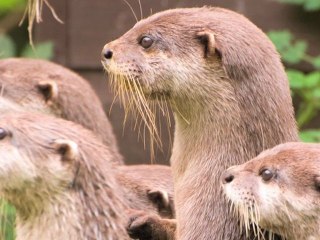 Stratégie nationale pour la biodiversité : le programme d’actions en marche mddtv