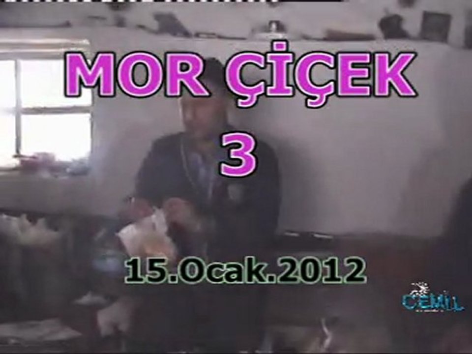 MORÇİÇEK 3
